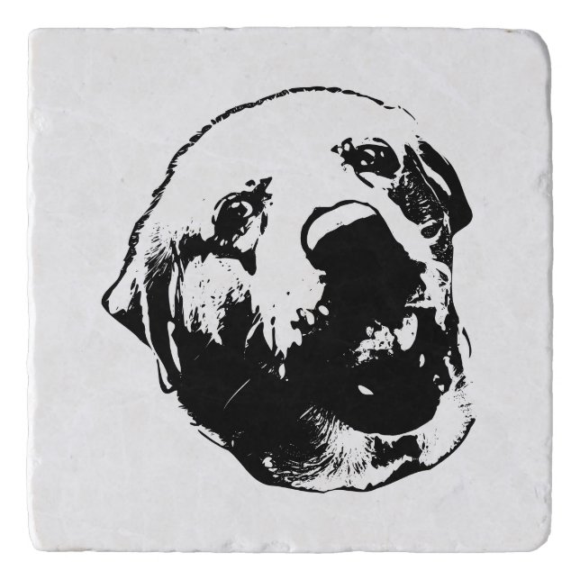 Chomp! But Friendly Trivet (Front)
