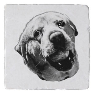 Chomp! But Friendly Trivet