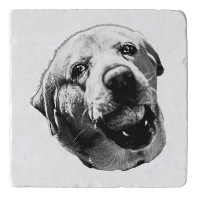 Chomp! But Friendly Trivet (Front)