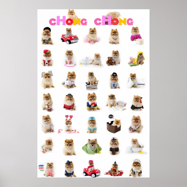 Chong Chong Poster (Front)