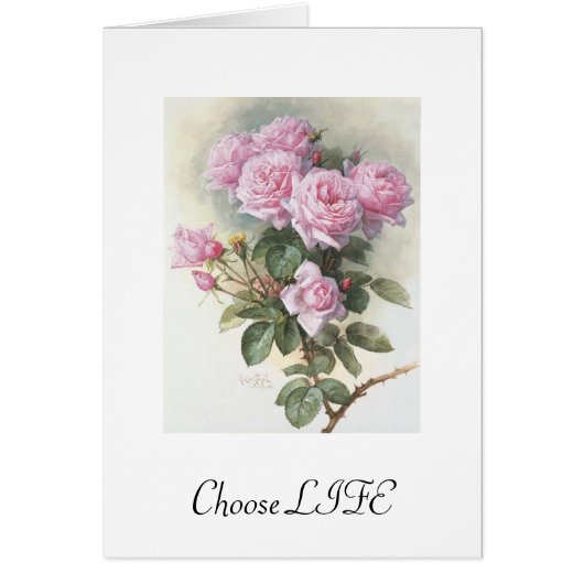 Choose LIFE Cards (Front)
