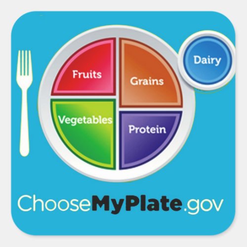 Choose My Plate Blue Stickers