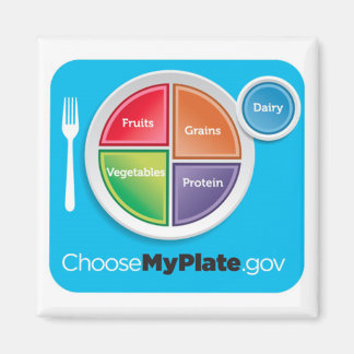 Choose My Plate Magnet