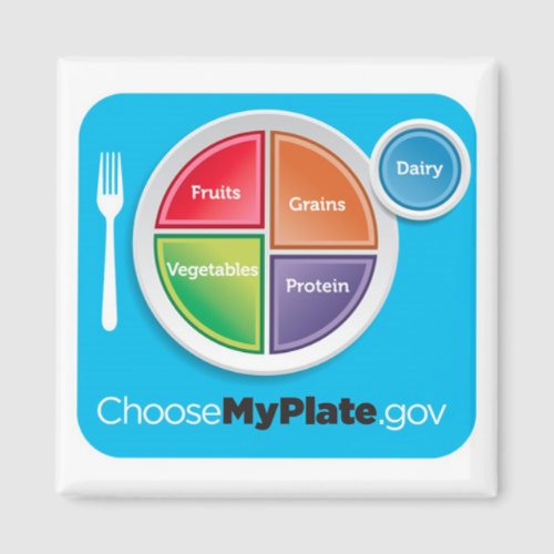 Choose My Plate Magnet