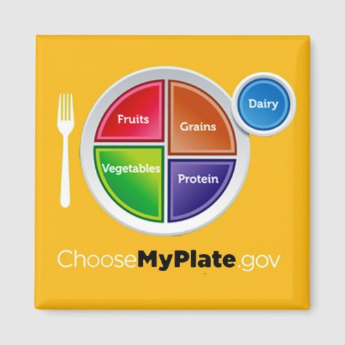 Choose My Plate Orange Magnet