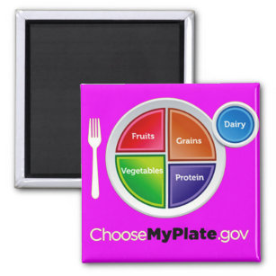 Choose My Plate (Pink) Magnet