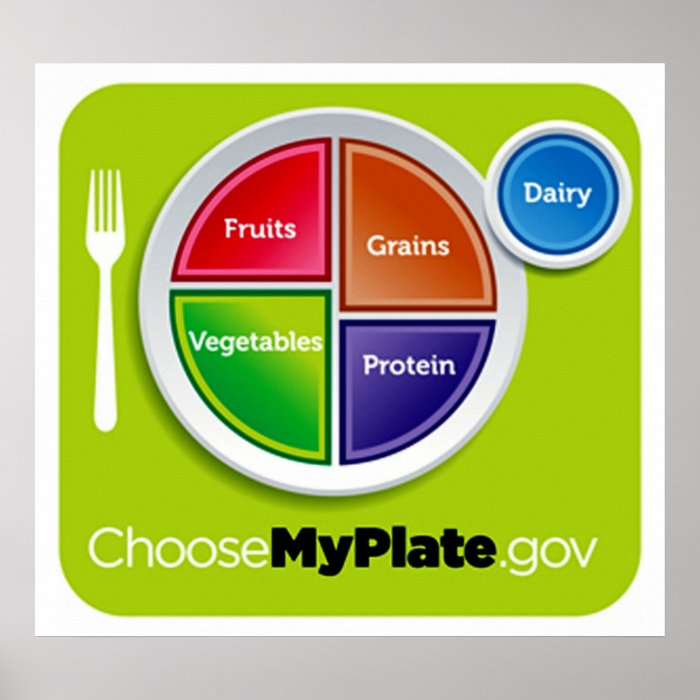 Choose My Plate Poster   in many sizes