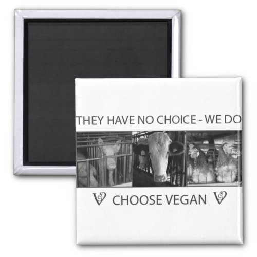 Choose Vegan Magnet
