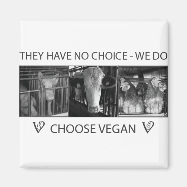 Choose Vegan Magnet (Front)