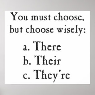 Choose Wisely There Their They're Grammar Poster