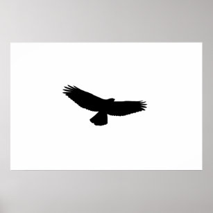 CHOOSE YOUR BACKGROUND COLOR! Black-Red-Tail Hawk Poster