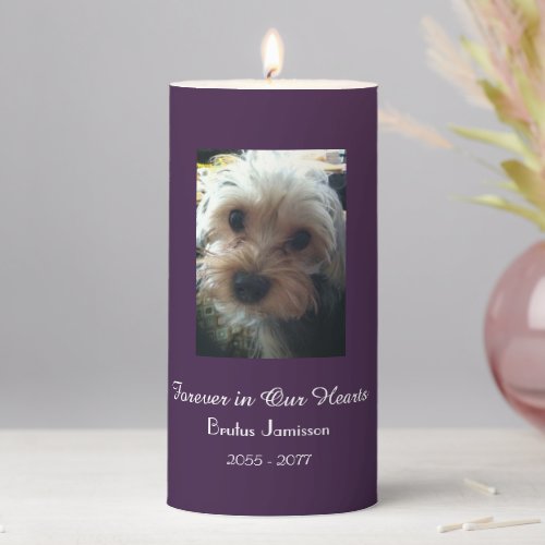 CHOOSE YOUR COLOR Memorial Candle Pet Photo Pillar Candle