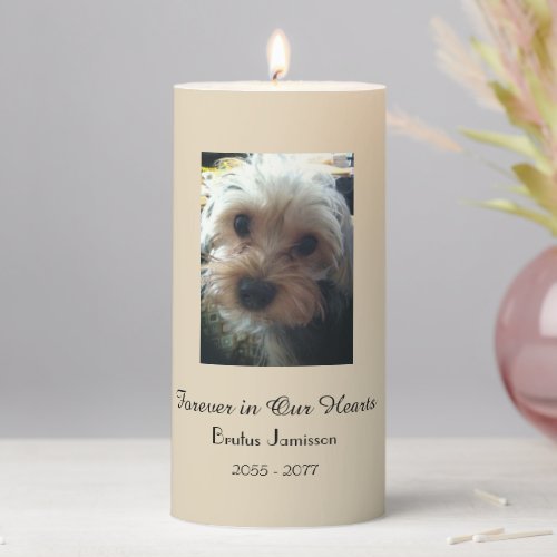 CHOOSE YOUR COLOR Memorial Candle Pet Photo Pillar Candle