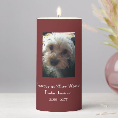 CHOOSE YOUR COLOR Pet Memorial Candle Photo Pillar Candle