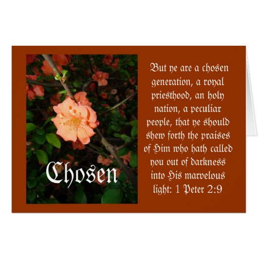 Chosen Cards (Front Horizontal)