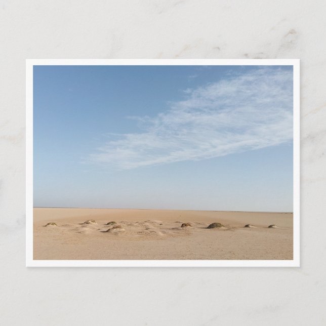 Chott el Djerid (Tunisia) Postcard (Front)