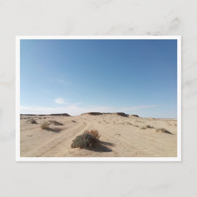 Chott el Gharsa (Tunisia) Postcard (Front)