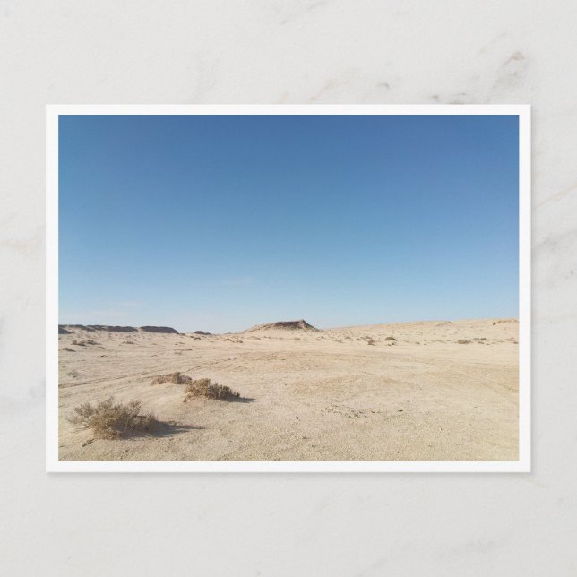 Chott el Gharsa (Tunisia) Postcard (Front)