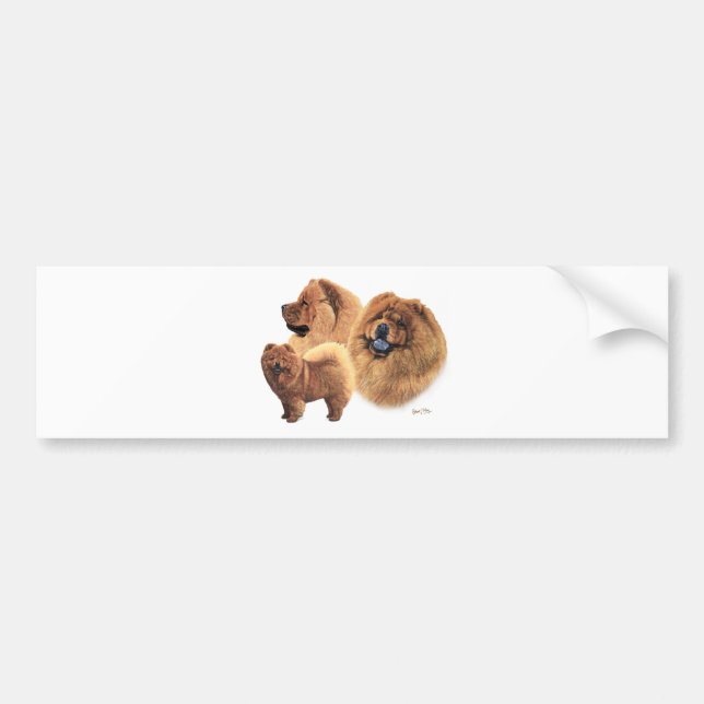 Chow Chow Bumper Sticker (Front)