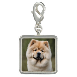 Chow Chow Charm