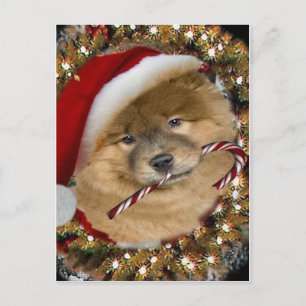 Chow Chow Christmas Candy Cane gifts Holiday Postcard