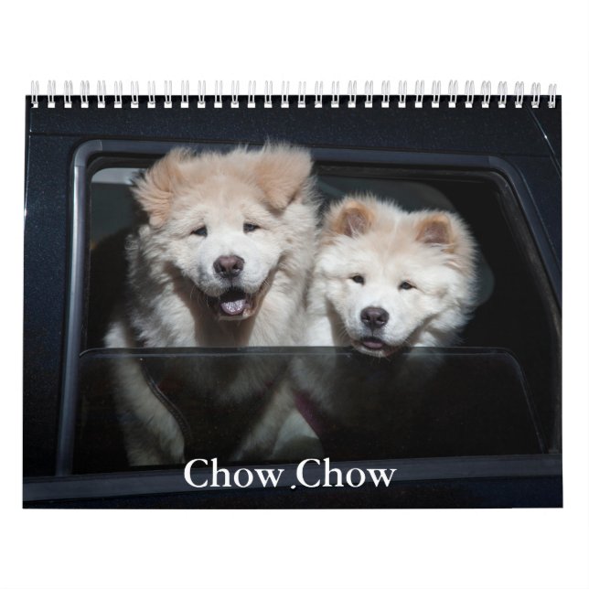 Chow Chow Dog Calendar (Cover)