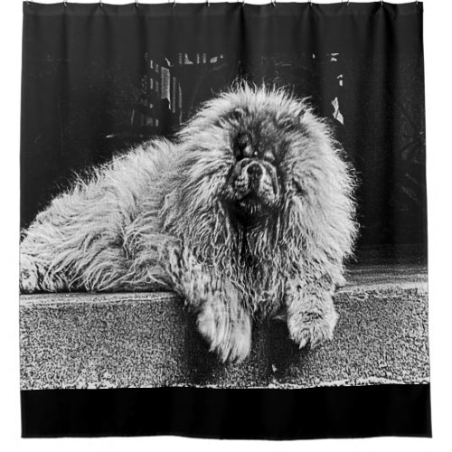 Chow Chow Dog on Porch Black and White Shower Curtain