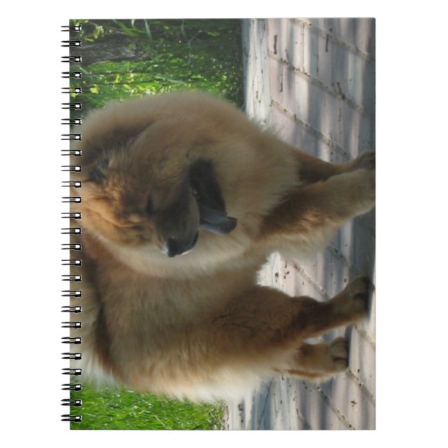 chow chow full.png notebook (Front)