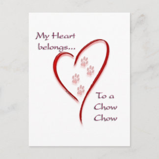 Chow Chow Heart Belongs Postcard