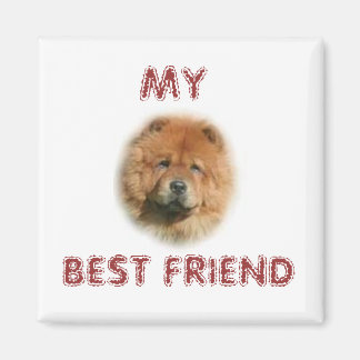 CHOW CHOW MAGNET