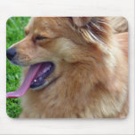 Chow Chow Mouse Pad
