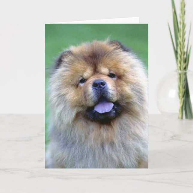 Chow Chow note cards (Front)