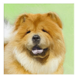 Chow Chow Painting - Cute Original Dog Art