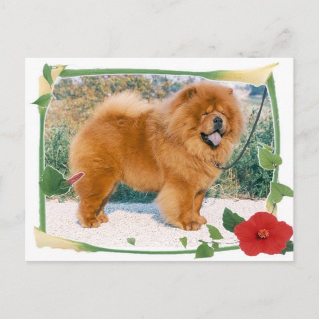Chow-Chow Postcard (Front)