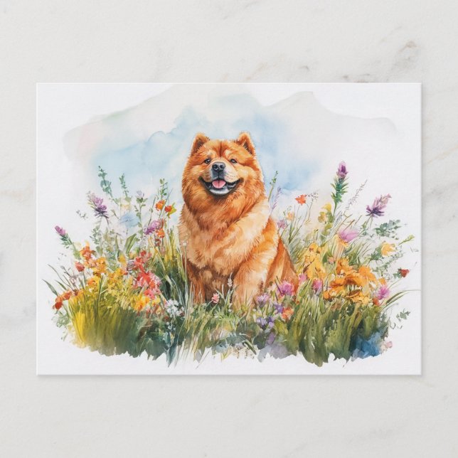 Chow Chow - Postcard (Front)
