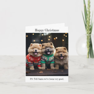 Chow Chow Puppies Christmas Card