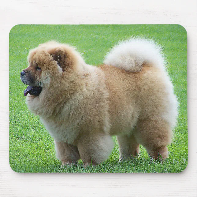 Chow Chow Puppy Dog Green Grass Mousepad Zazzle