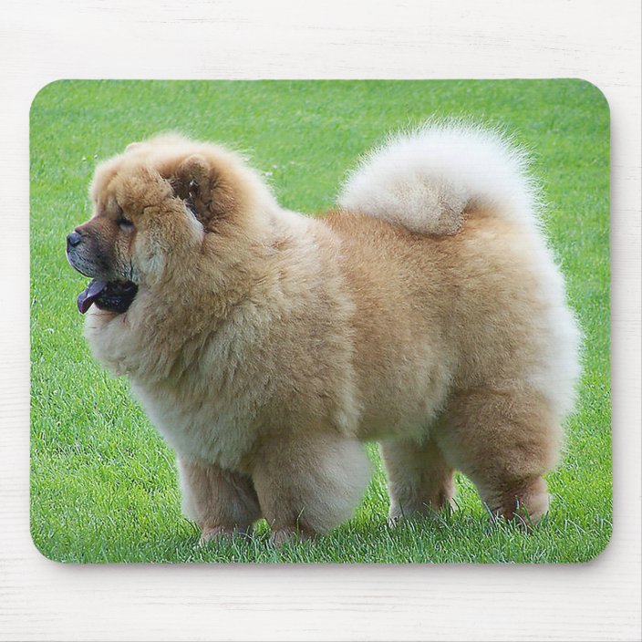 Chow Chow Puppy Dog Green Grass Mousepad Zazzle Com