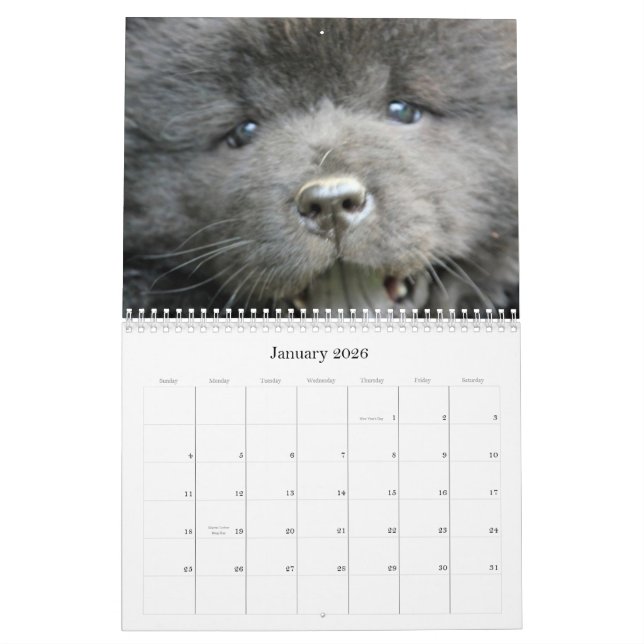 Chow Chow Rescue Calendar (Jan 2026)