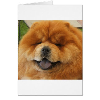 Chow Chow Rescue Cards