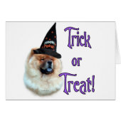 Chow Chow Trick (Front Horizontal)