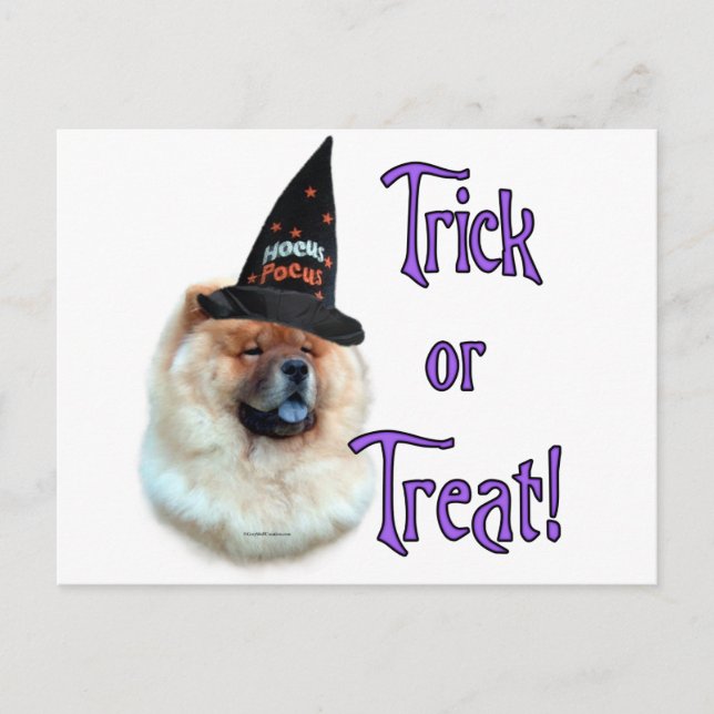 Chow Chow Trick Postcard (Front)