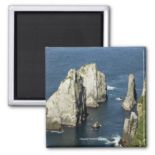 Chowiet Seabird Colonies Alaska Magnet