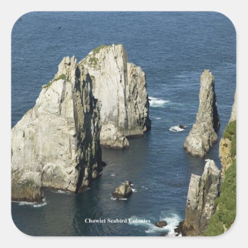 Chowiet Seabird Colonies Alaska Square Sticker