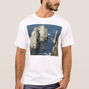Chowiet Seabird Colonies, Alaska T-Shirt