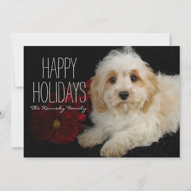 Chrirstmas Cavachon puppy Holiday Card (Front)