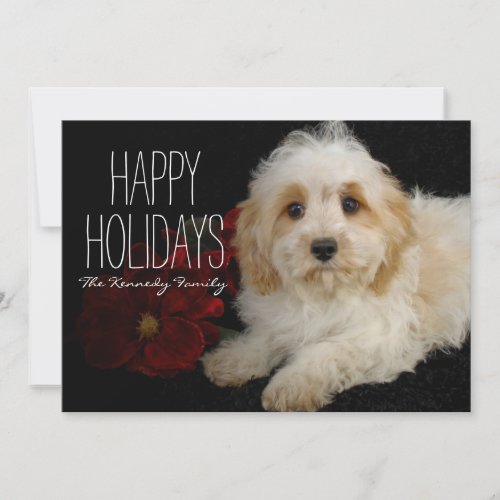 Chrirstmas Cavachon puppy Holiday Card