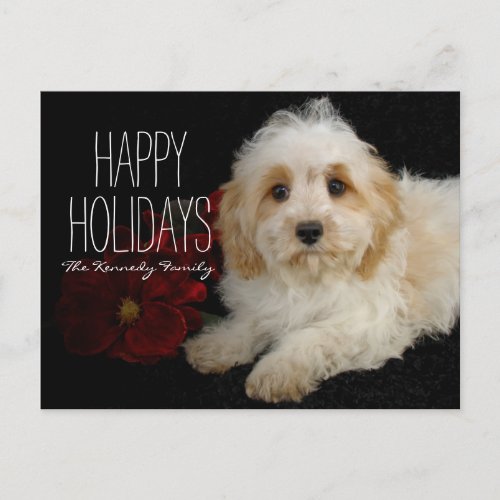 Chrirstmas Cavachon puppy Holiday Postcard