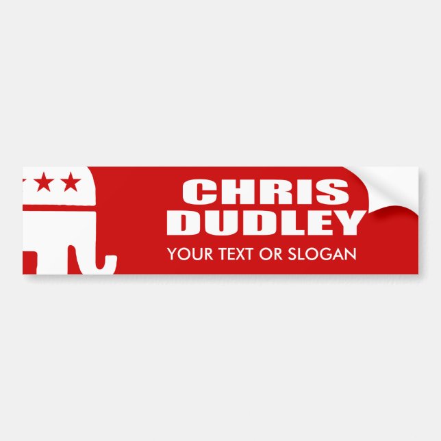 CHRIS DUDLEY FOR GOVERNOR BUMPER STICKER (Front)