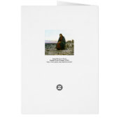 Christ in the Desert Cards (Back)